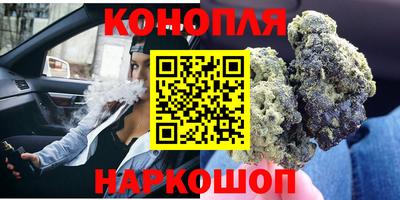 стаф Шебекино