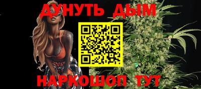 стаф Шебекино