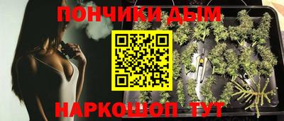 дмт Шелехов
