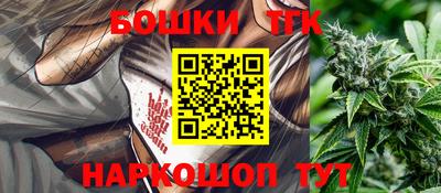 дмт Шелехов