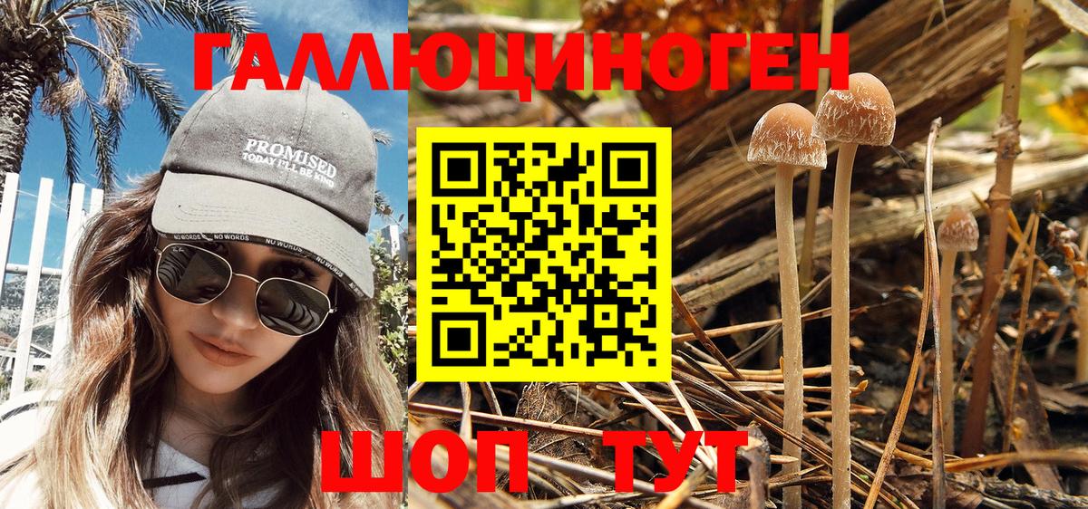 Псилоцибиновые грибы MAGIC MUSHROOMS Павлово