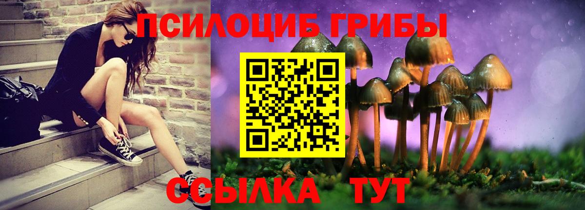 Галлюциногенные грибы Psilocybe  Галлюциногенные грибы Psilocybine cubensis  Павлово  Вход с VPN 